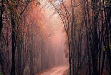 麻将胡了2-郑钦文努力找回“自我”