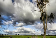 麻将胡了技巧-王(wáng)曼昱(yù)、孙颖莎，晉(jìn)级决赛