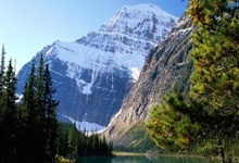 麻将胡了技巧-卡尔顿·戴(dài)维斯：为何自由球(qiú)員(yuán)应选择加盟(méng)新英格兰爱国者队？