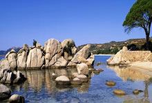 麻将胡了2-郑钦文努力找回“自我”