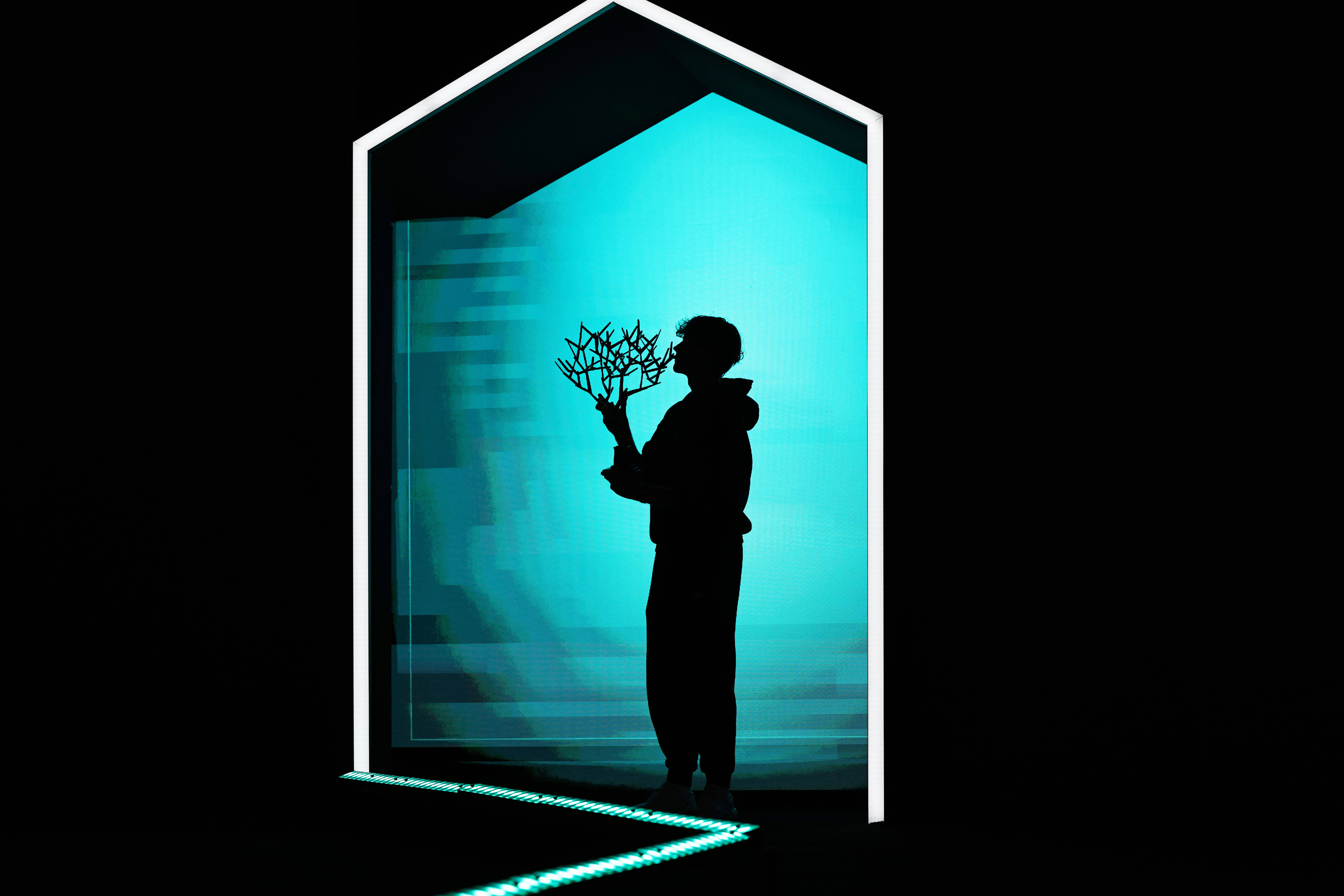 巴黎网球大师赛：辛纳夺冠