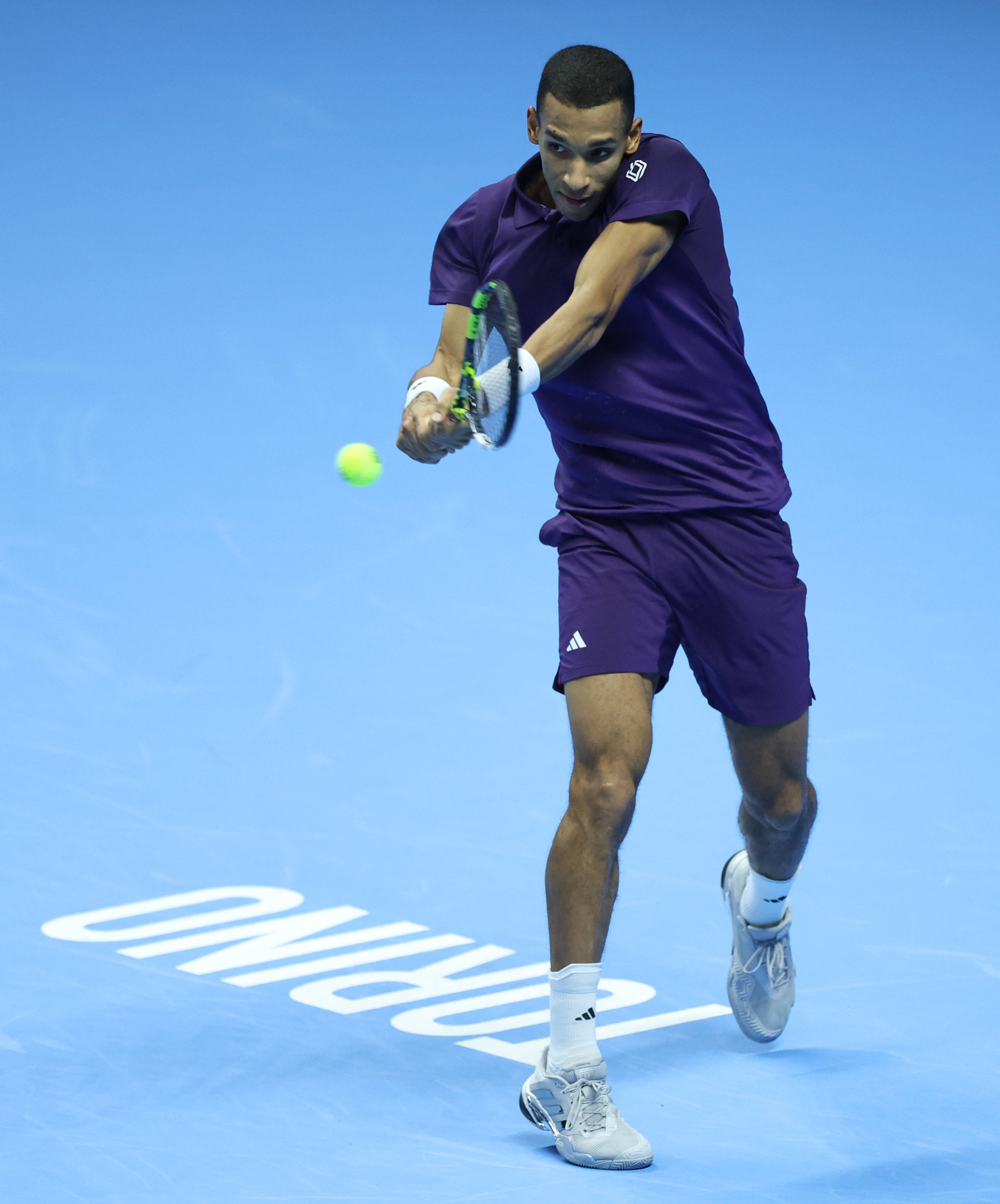 （体育）网球——ATP年终总决赛：奥热-阿利亚西姆胜兹韦列夫